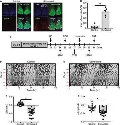 The Suprachiasmatic Nucleus Regulates Anxiety-Like Behavior in Mice